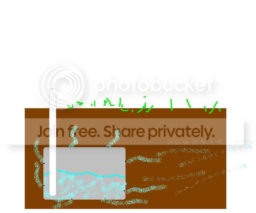 dis.jpg