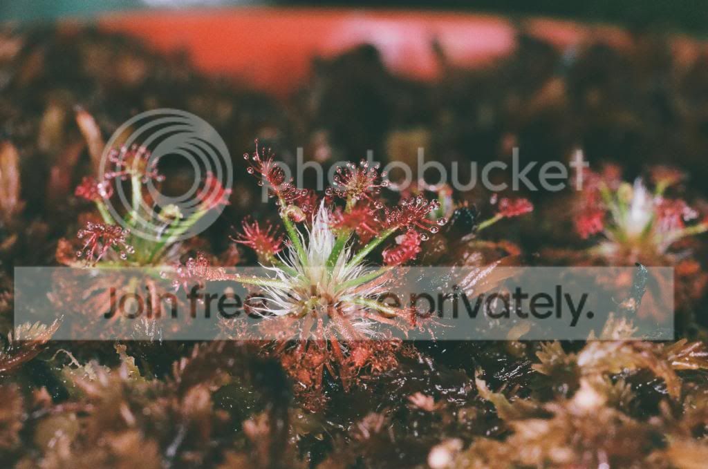 01220008copy.jpg