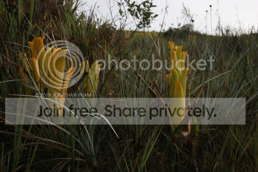 IMG_0684.jpg