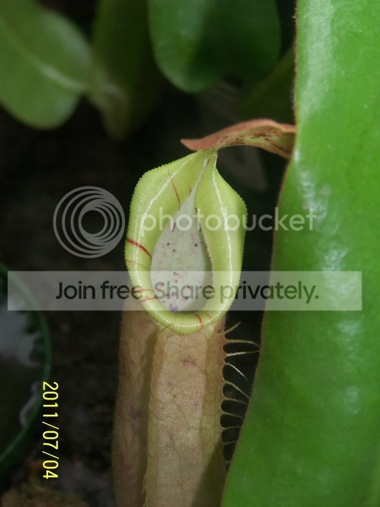 100_4767.jpg