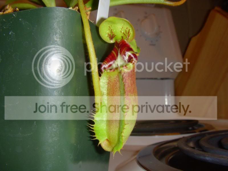 DSCN2921.jpg