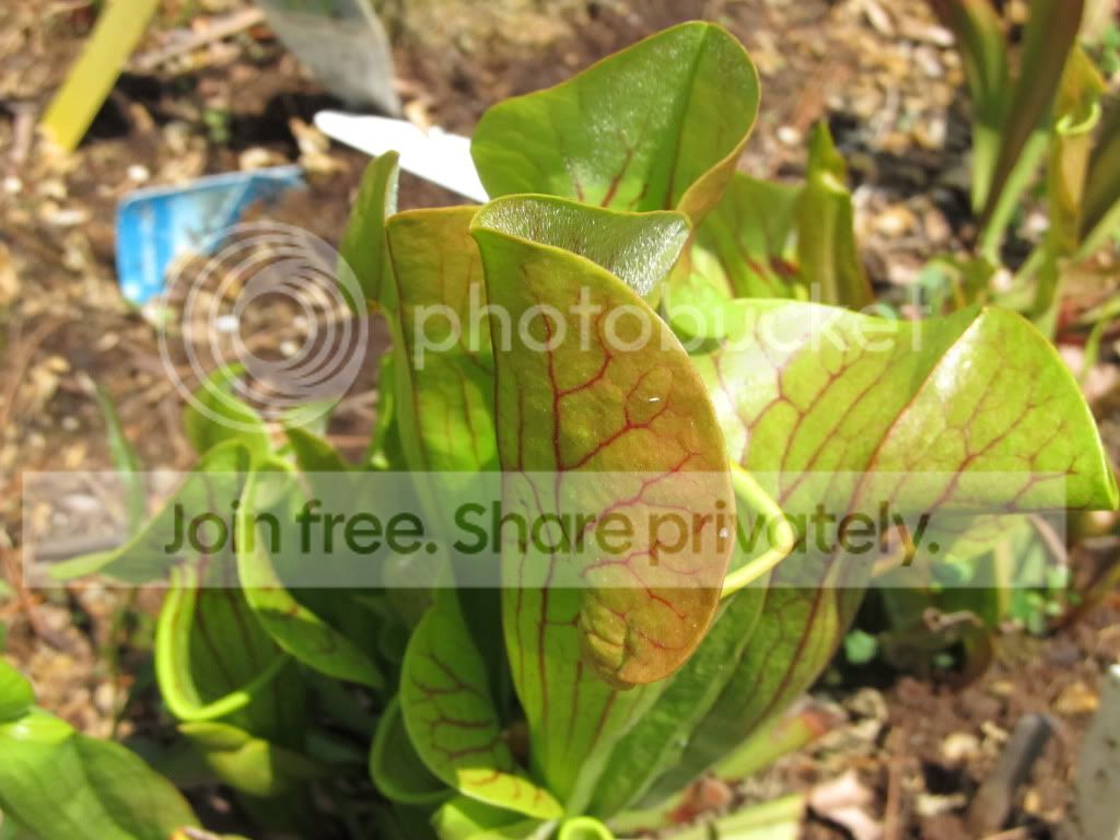 IMG_3822.jpg