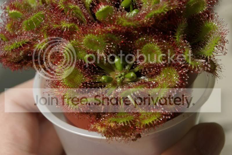 _IGP9599.jpg