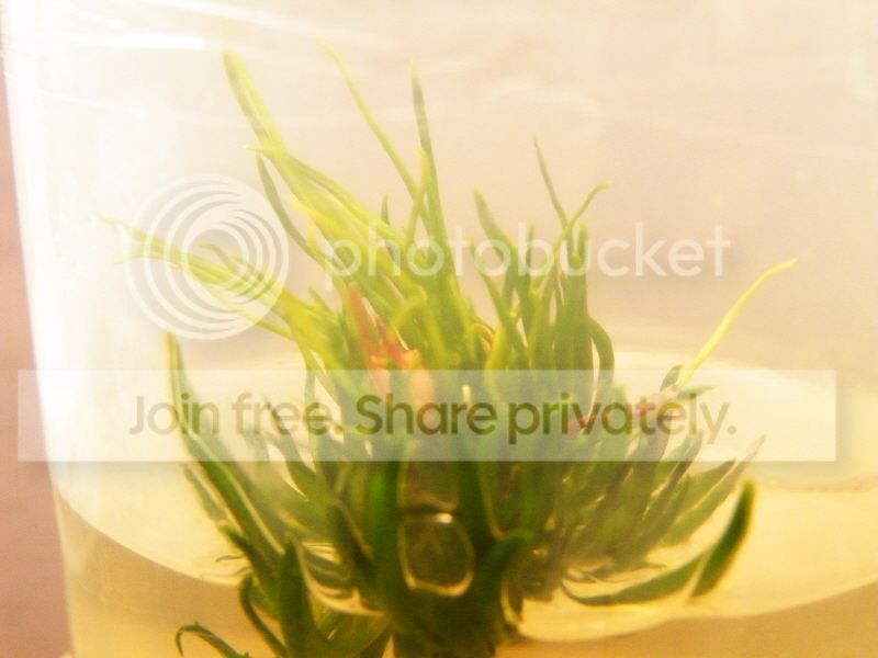 DSCF9565.jpg