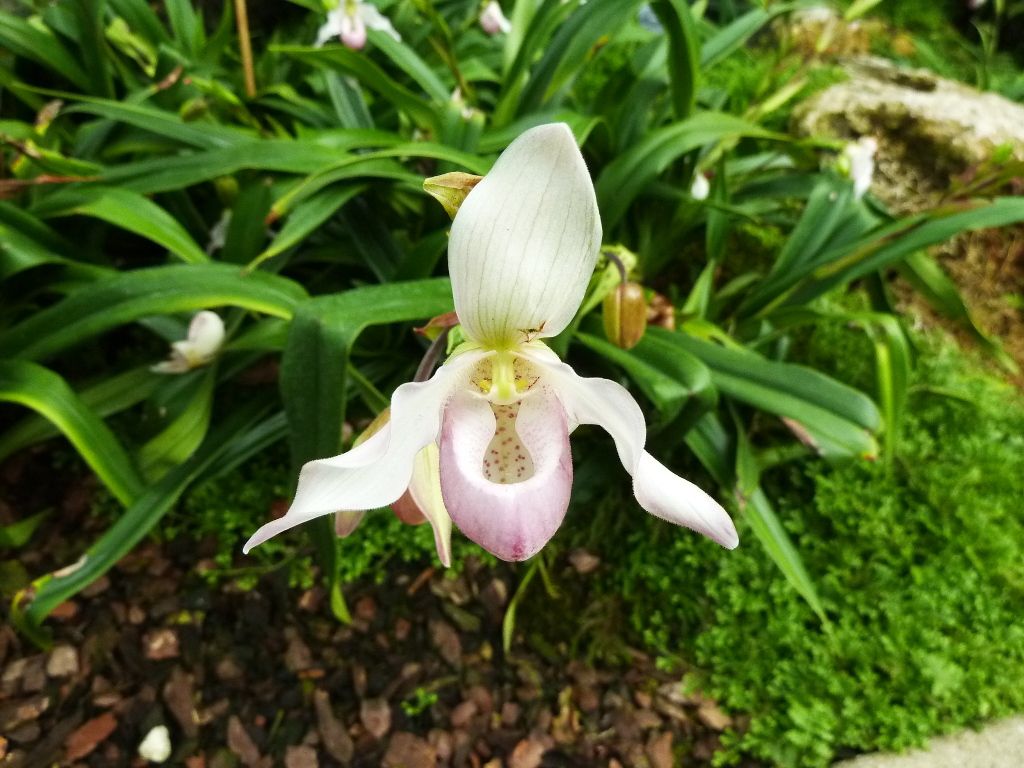 kewgardens300812068.jpg