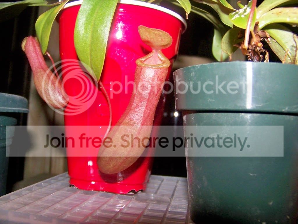 101_4074.jpg