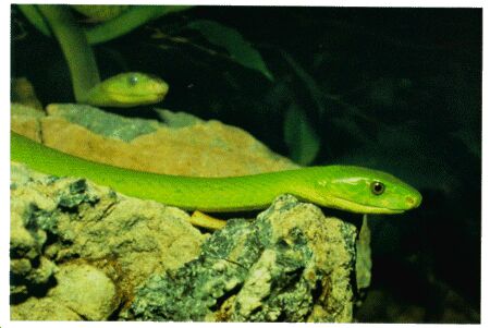 img144.jpg