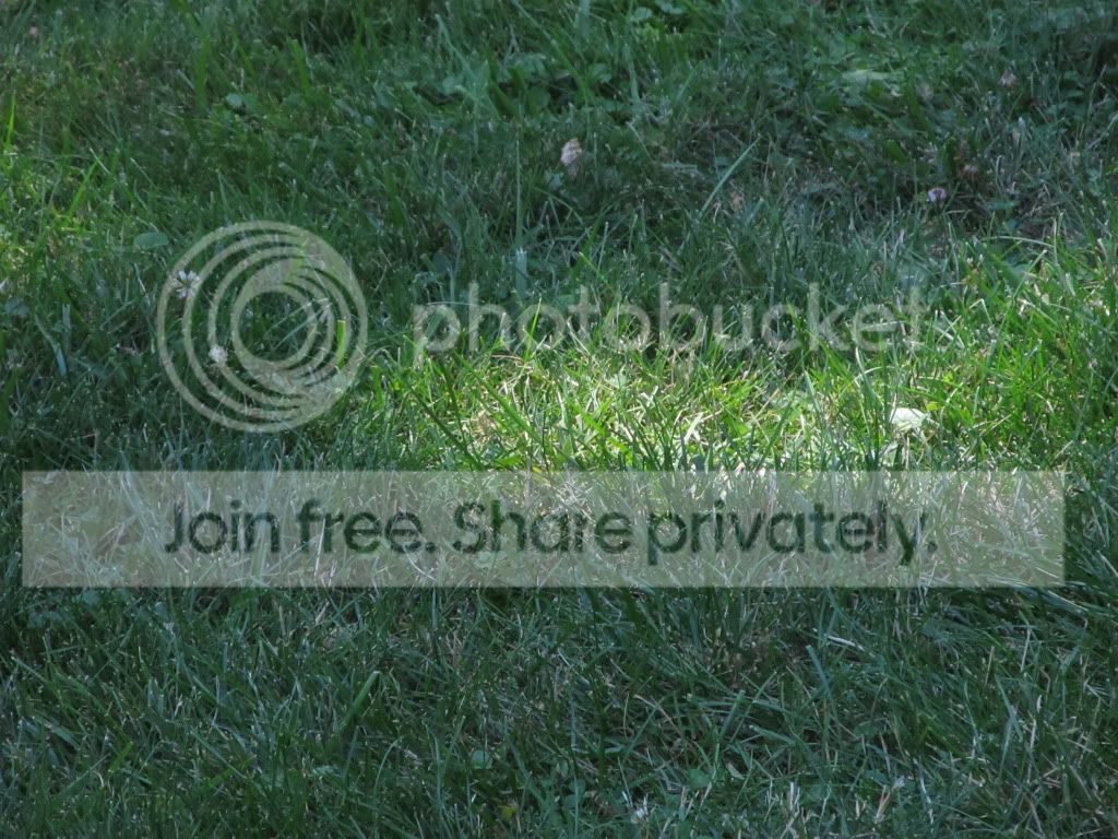 IMG_4767.jpg