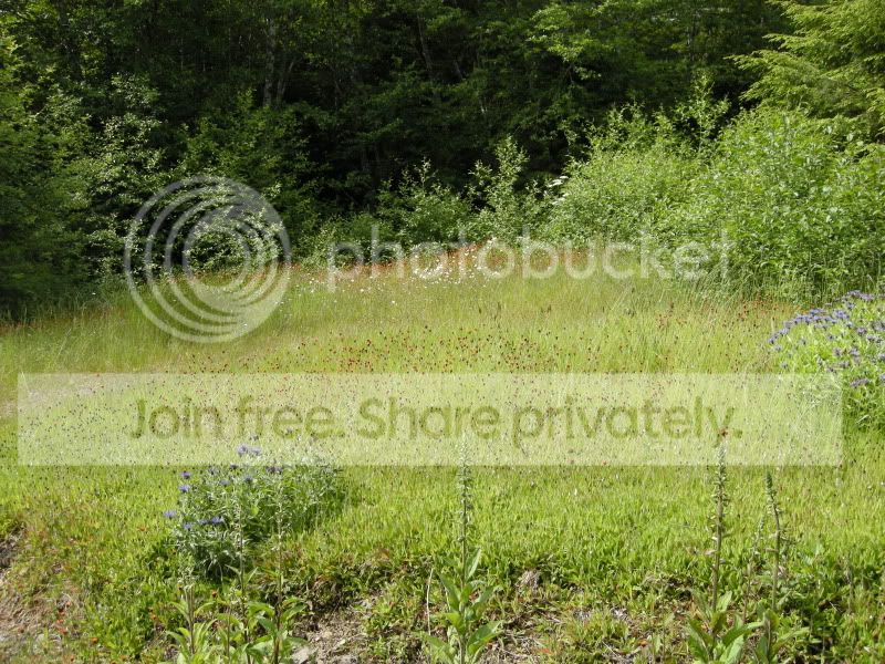 DSCN6074.jpg