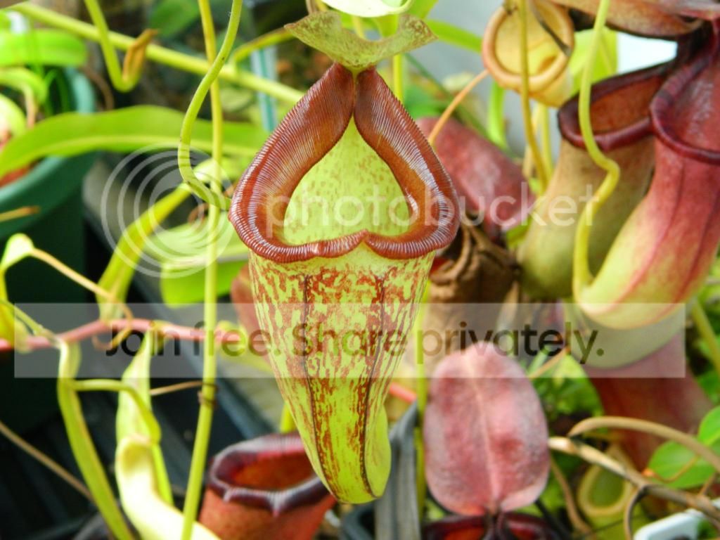 DSCN1589.jpg