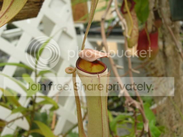 DSCN4402.jpg
