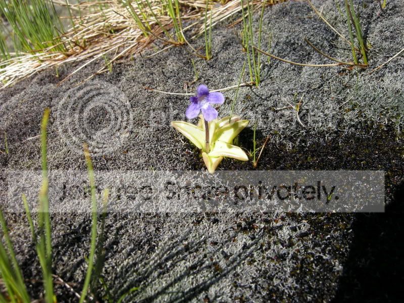 DSCN6252.jpg