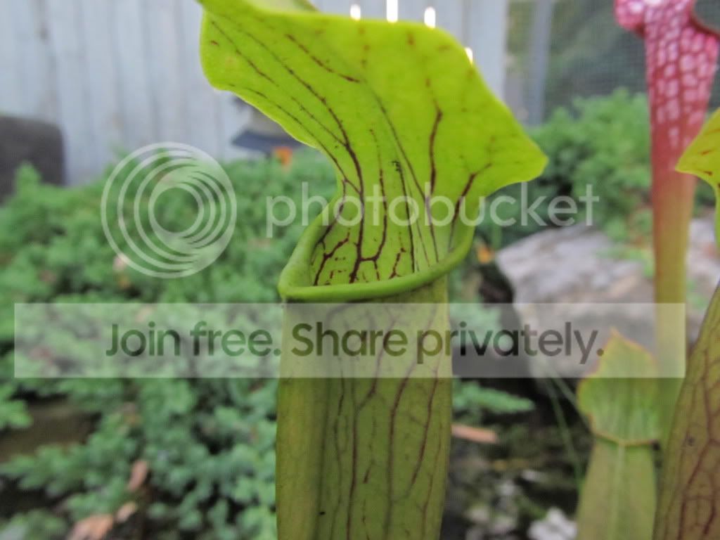 IMG_8616.jpg