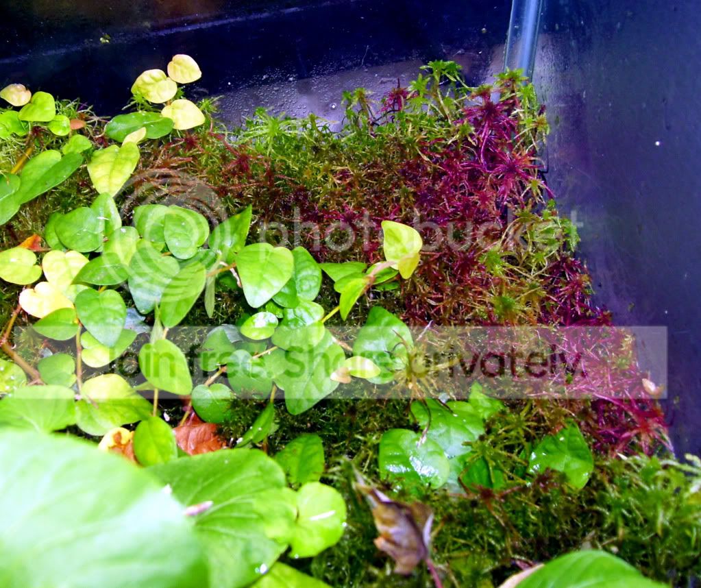 100_8046.jpg