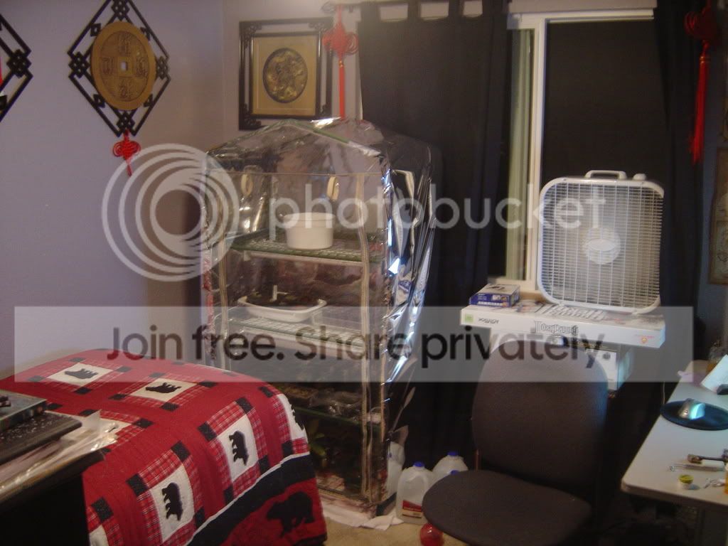 bedroom.jpg