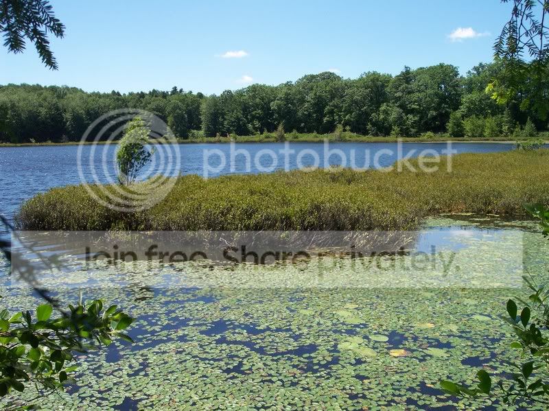 MossLake003.jpg