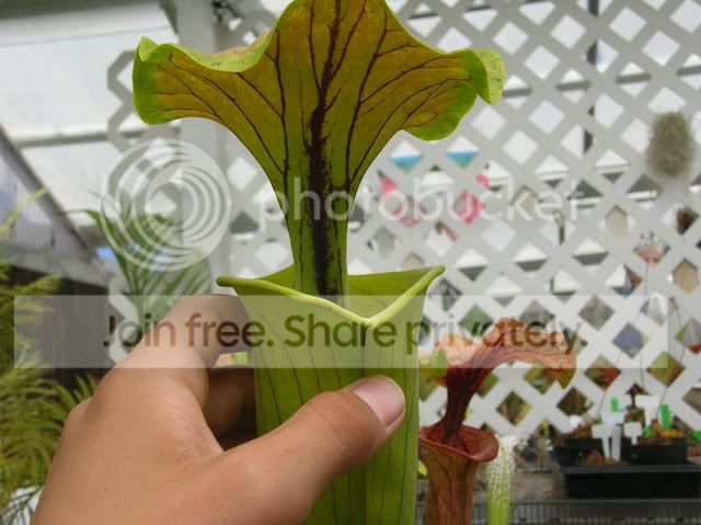 DSCN4360.jpg