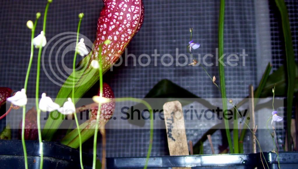 100_5890.jpg