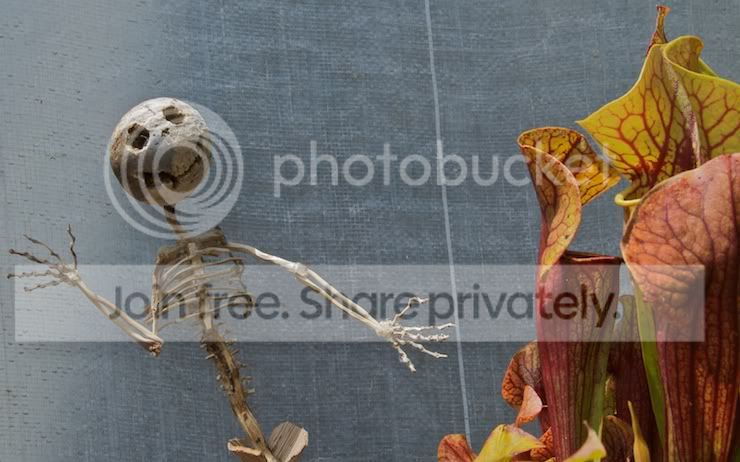 SKT_20090620_5482.jpg