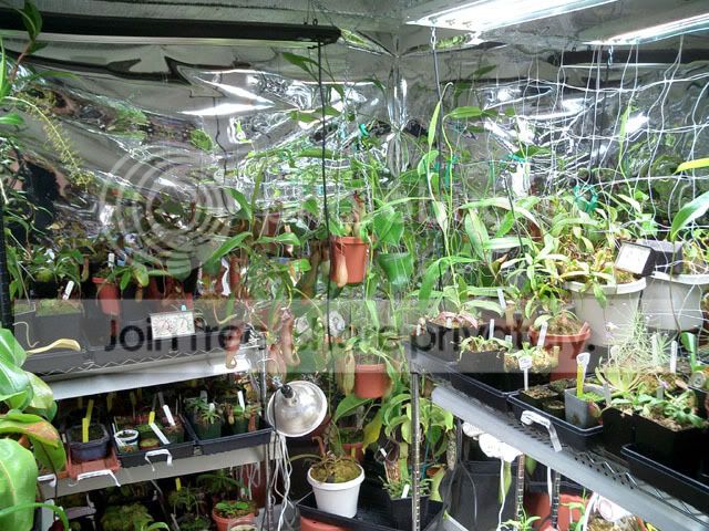 Growroom7.jpg