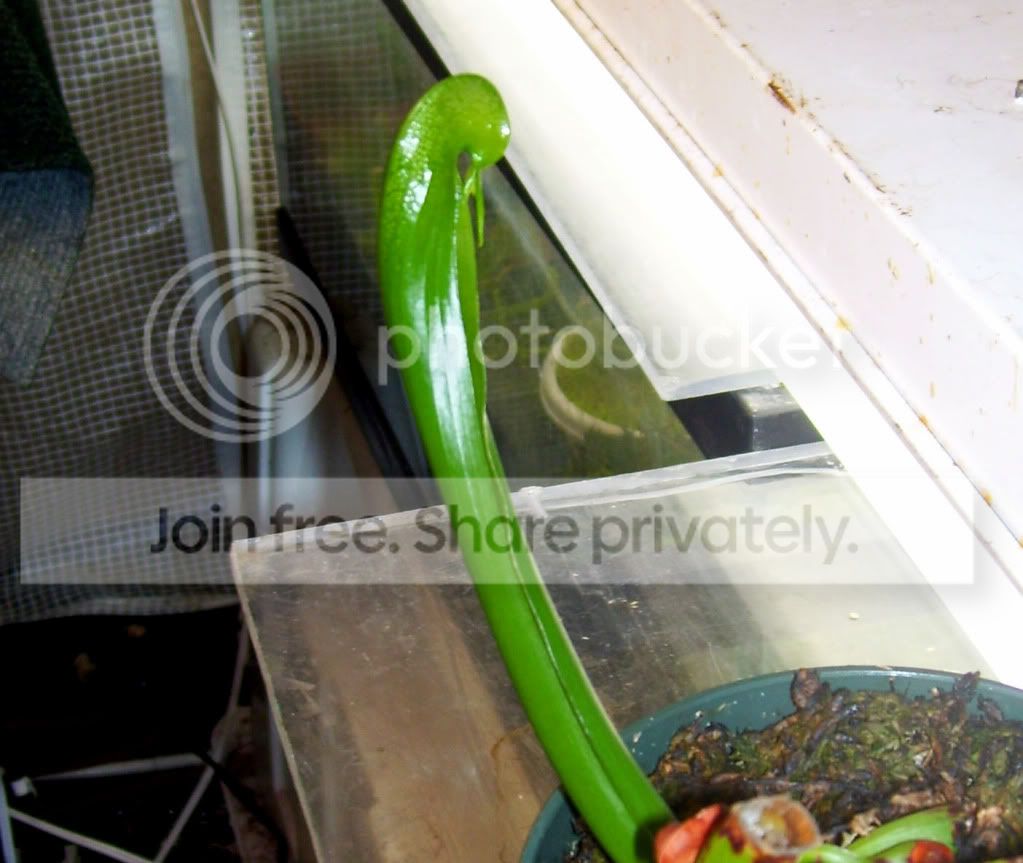 100_7460.jpg