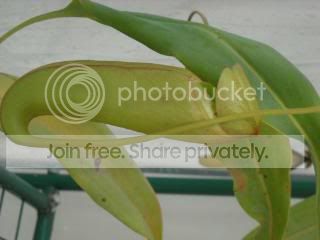 DSCN0430-2.jpg