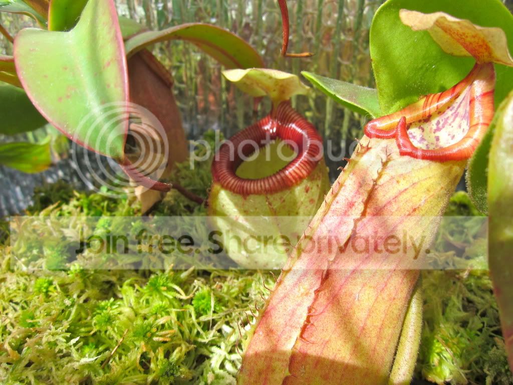 IMG_4476.jpg