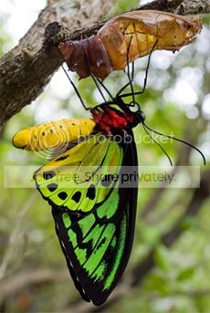 image-04-small.jpg