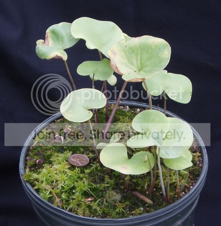 Outsidereniformis-090310RS.jpg