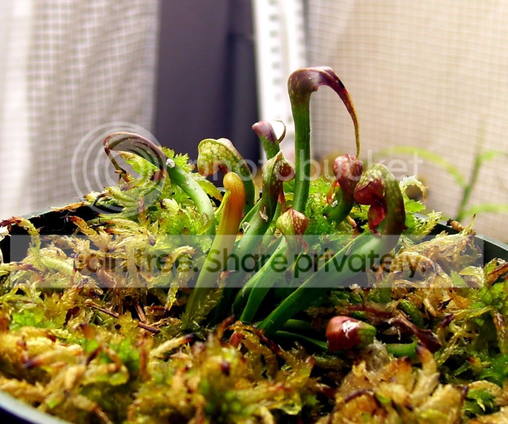 100_7790.jpg