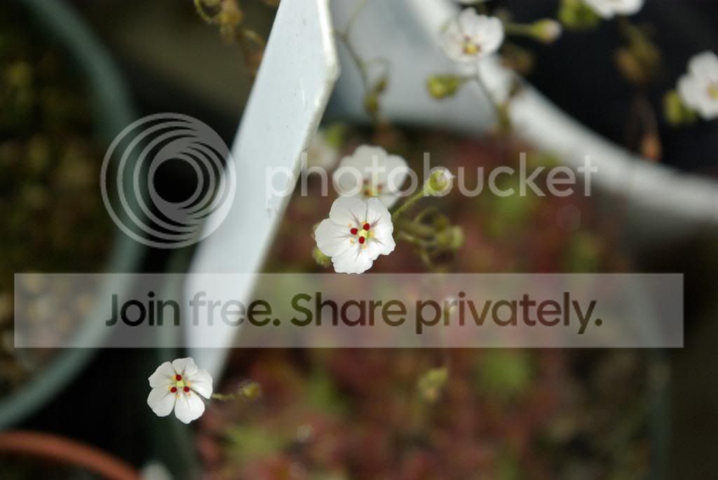 _IGP0738.jpg