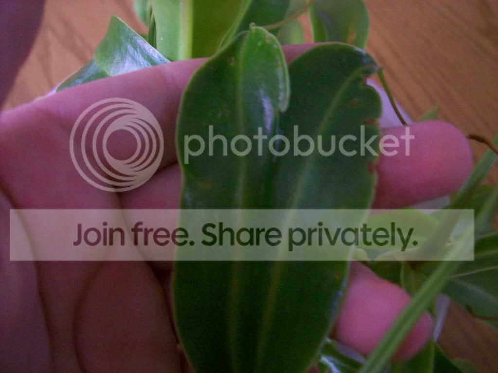 somepics181.jpg