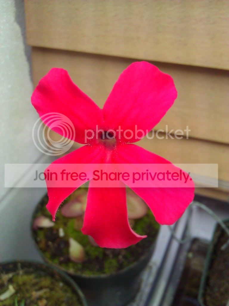 WP_000042.jpg