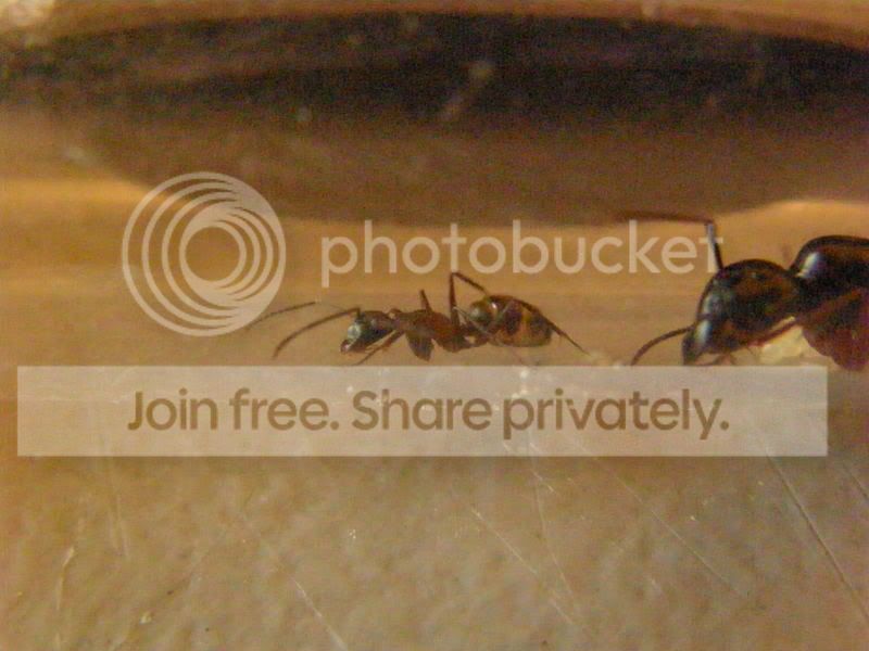 e7bc92e3.jpg