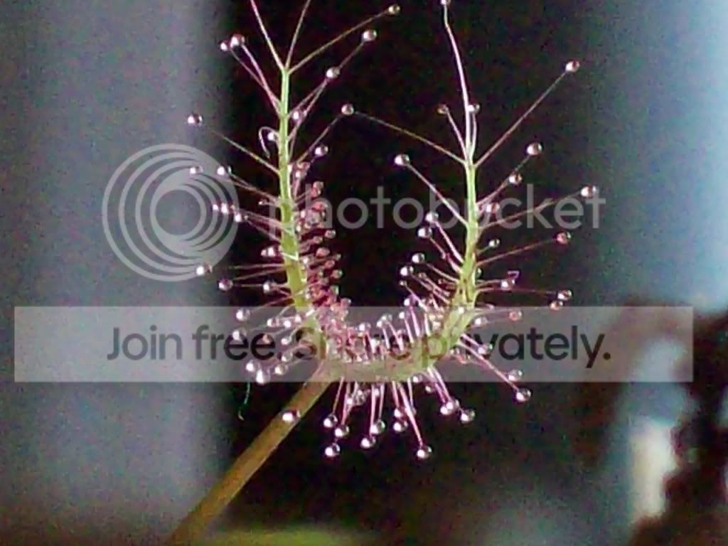 Picture042.jpg