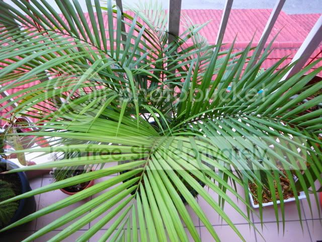 DSC05524.jpg