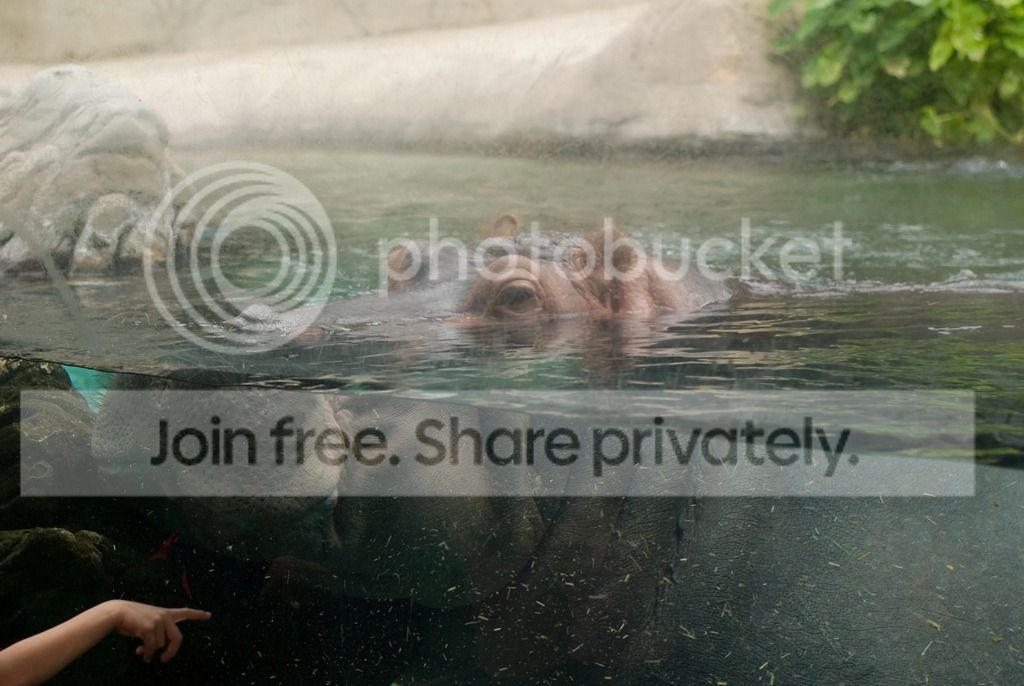 IMGP3671_zpsya2ug5b0.jpg
