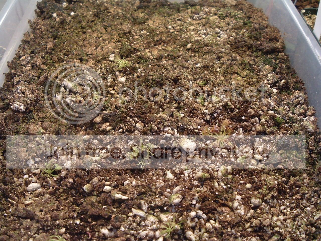 terrariumupdate.jpg
