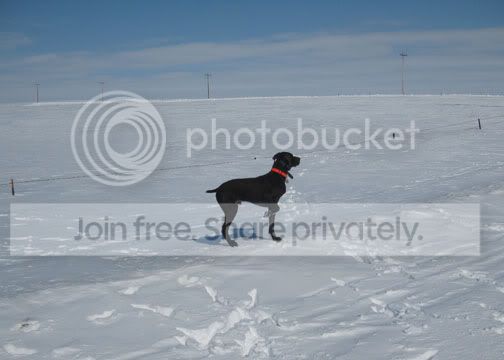 IMG_1160.jpg