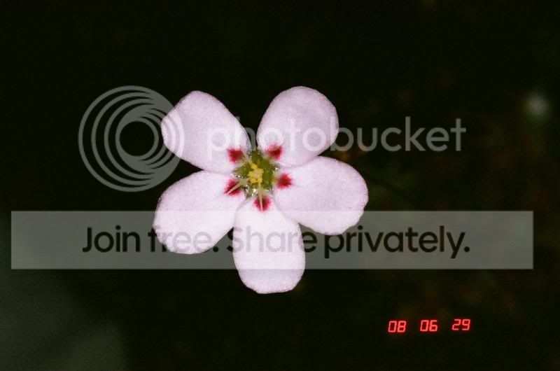 01370010.jpg