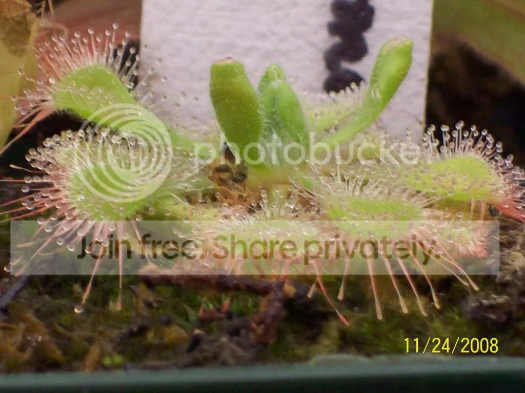 100_0620.jpg
