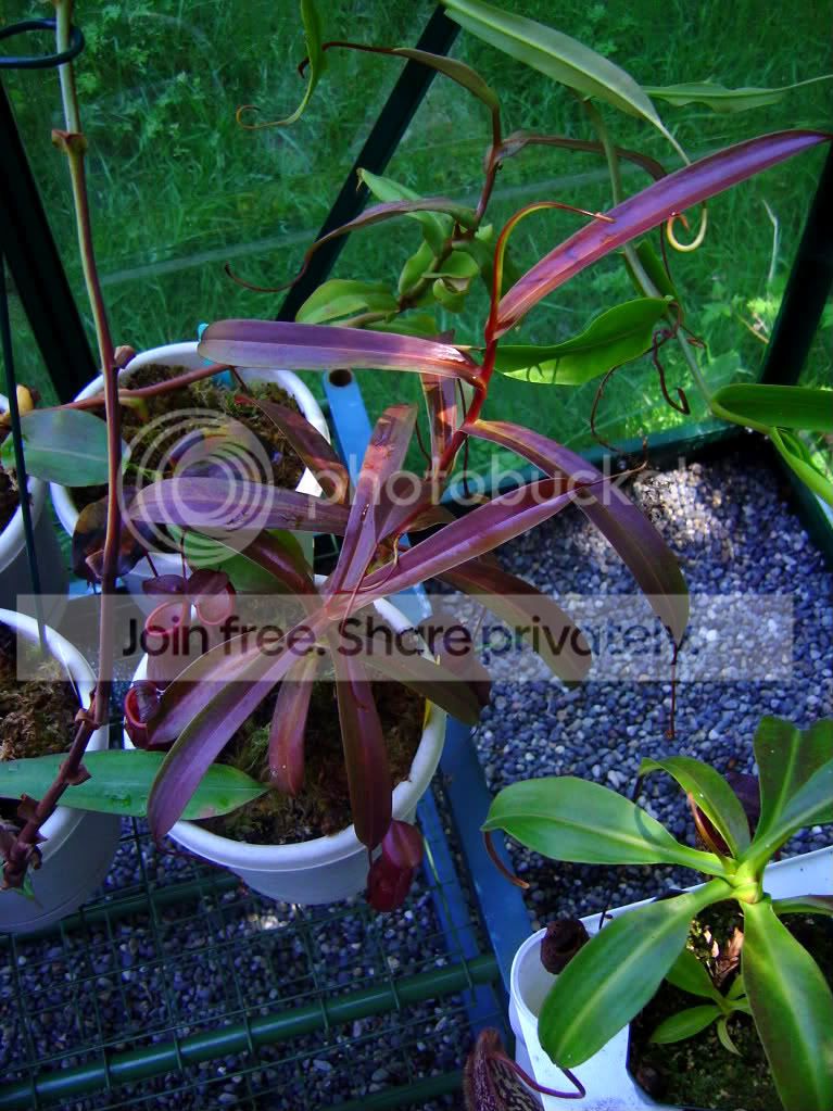 DSC05447.jpg