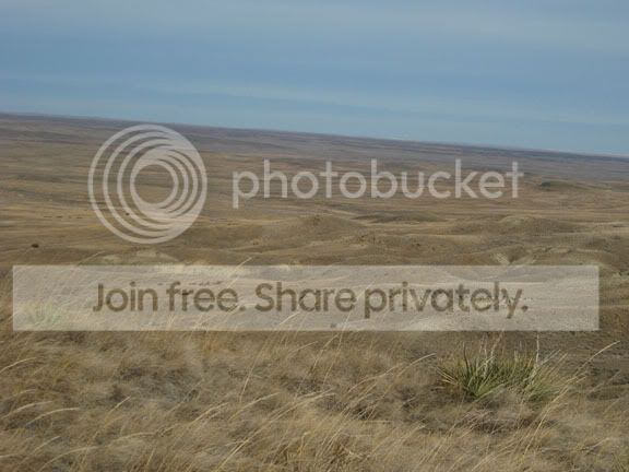 IMG_0823.jpg
