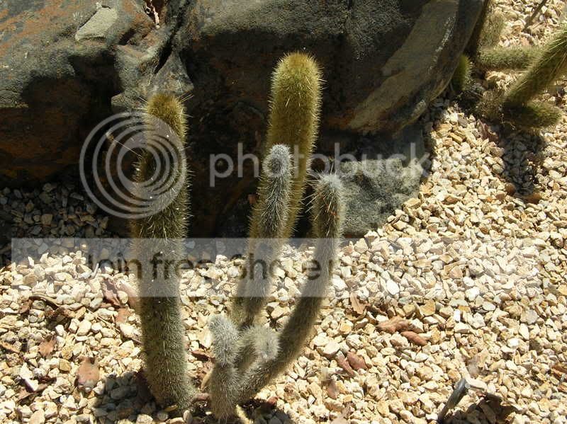HW2_5051.jpg