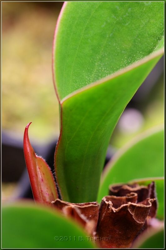 DPP_0154_hf.jpg