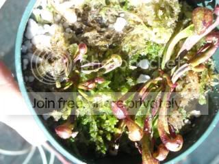 DSCN0007-3.jpg