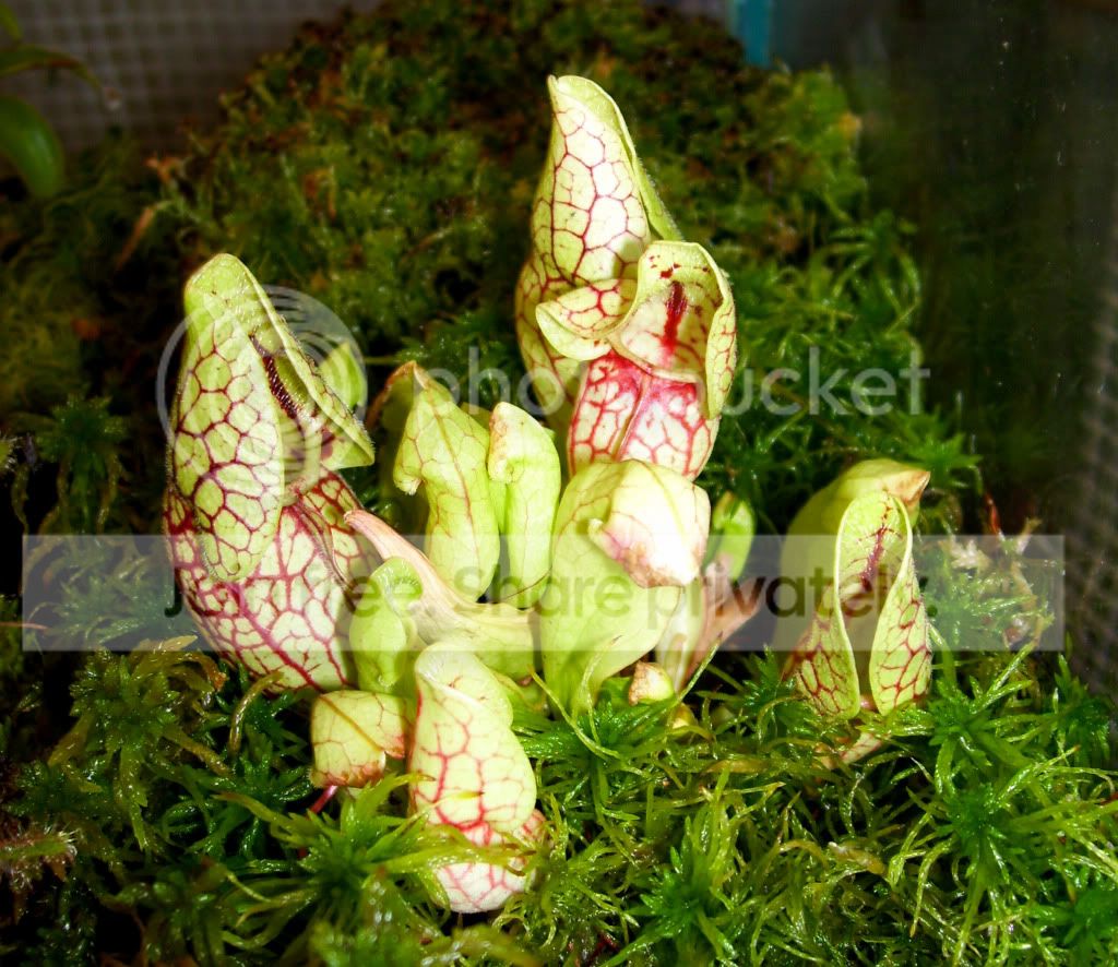 100_7883.jpg