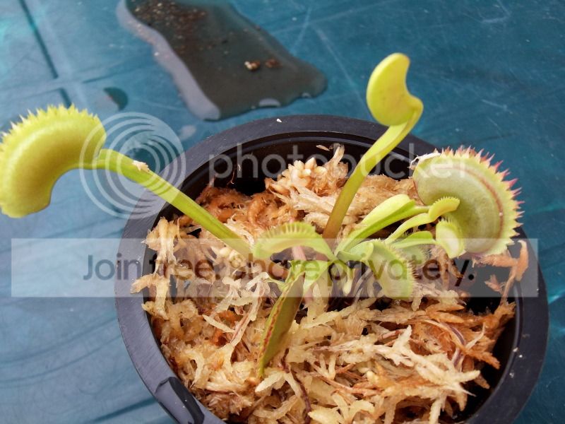 DSCF9083.jpg