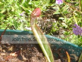 Picture001.jpg