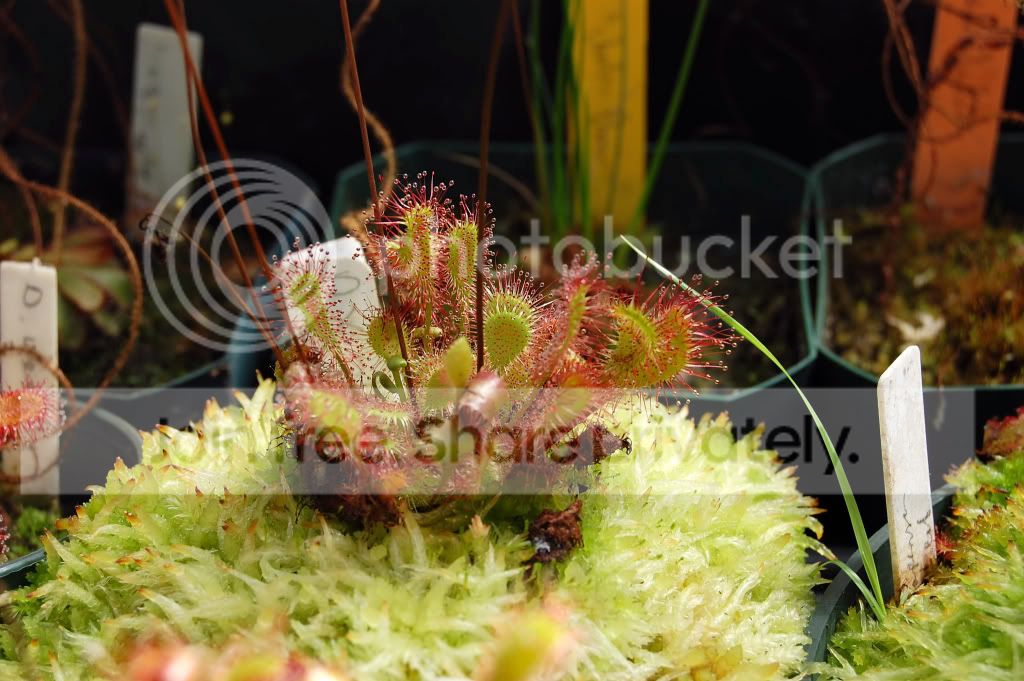 DSC_00570022.jpg